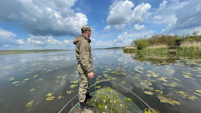 Інспектор вдивляється у ділянки під очеретом Інспектор вдивляється у ділянки під очеретом