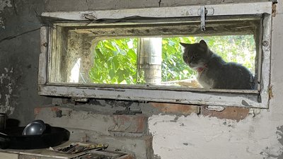 В деокупованому селі на Харківщині ексгумували тіла двох людей зі слідами катувань В деокупованому селі на Харківщині ексгумували тіла двох людей зі слідами катувань