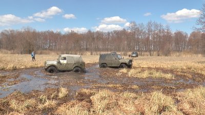 Автоперегони з перешкодами Автоперегони з перешкодами