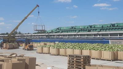 Херсонські кавуни готуються до відправлення річкою у столицю Херсонські кавуни готуються до відправлення річкою у столицю