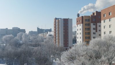 Дерева вкриті снігом у місті, січень 2026 року, Хмельницький
