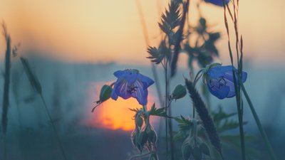 Синоптики розповіли про погоду на Хмельниччині на 14-18 липня