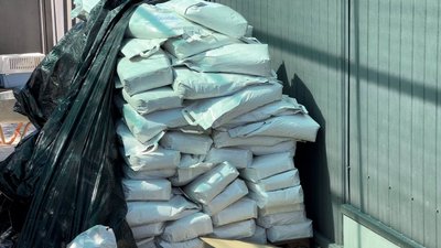 Миколаївська спортсменка залишилась у місті, аби допомагати безпритульним тваринам Миколаївська спортсменка залишилась у місті, аби допомагати безпритульним тваринам