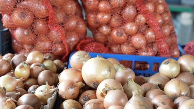 Ціни на цибулю впали вдвічі