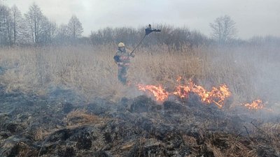 Прип'ять-Стохід, пожежа в нацпарку на Волині