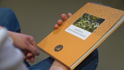 З журавлиною, родзинками та обліпихою: кутя по-кропивницькі