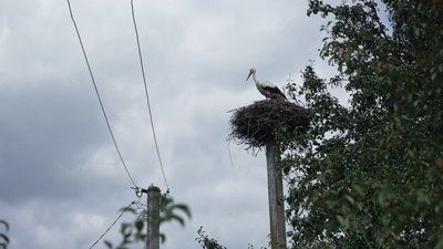 Прогноз погоди на 22 серпня