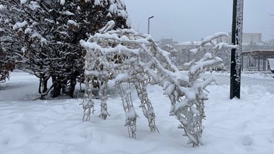 Черкаський сквер прикрашають до новорічних свят