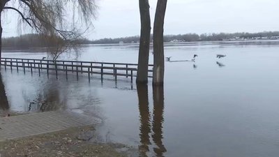 Рівень води у Дніпрі знижується: у Києві підтоплень не фіксують