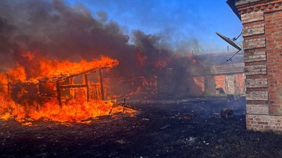 У селі Романівка Вишгородського району Київської області загорівся сухостій