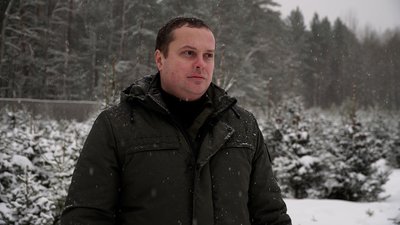 На прикордонні Чернігівщини вирощують та продають новорічні ялинки: де можна їх купити На прикордонні Чернігівщини вирощують та продають новорічні ялинки: де можна їх купити