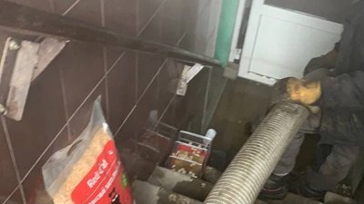 Через порив труби у багатоповерхівці загинули тварини у зоомагазині