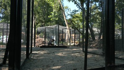 Містечко для евакуйованих тварин будують у Черкаському зоопарку