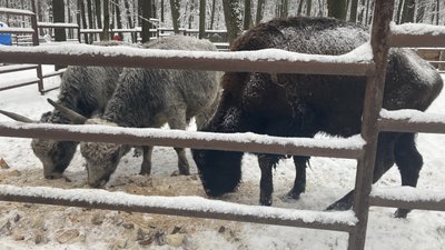 Екопарк Харків Екопарк Харків