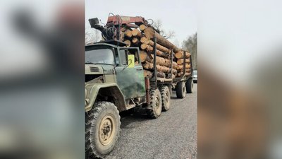 На Житомирщині екоінспекція виявила вантажівку деревини без документів На Житомирщині екоінспекція виявила вантажівку деревини без документів