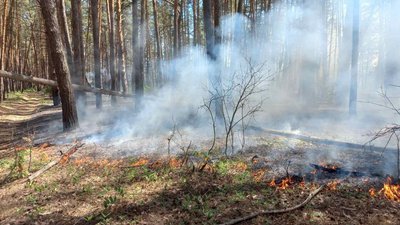 7 червня окупанти обстріляли Харків та Циркунівську громаду: сталися дві пожежі — ДСНС 7 червня окупанти обстріляли Харків та Циркунівську громаду: сталися дві пожежі — ДСНС