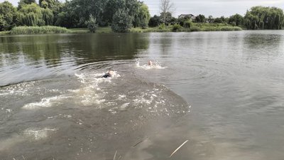Безпека на водоймах та техніка пірнання: що треба знати волинянам, щоб не травмуватися Безпека на водоймах та техніка пірнання: що треба знати волинянам, щоб не травмуватися