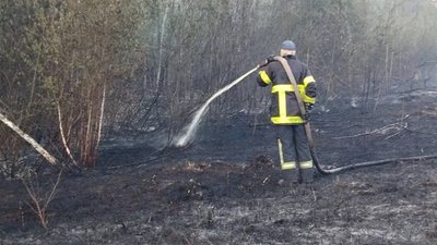 горить торф Ковельський район, пожежа село Тойкут, гасіння торфовища Ковель