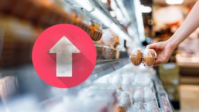 Скільки коштують продукти на Чернігівщині у вересні 2026 року: що подорожчало 