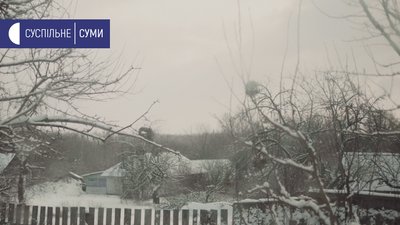 Переїхали в село та зайнялися бджільництвом: історія дауншифтерів із Сумщини Переїхали в село та зайнялися бджільництвом: історія дауншифтерів із Сумщини