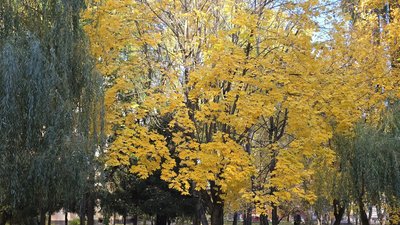 Осінь у Вінниці