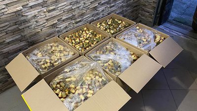 Правоохоронці Тернопільщини затримали групу осіб, яка виробляла підроблений алкоголь Правоохоронці Тернопільщини затримали групу осіб, яка виробляла підроблений алкоголь