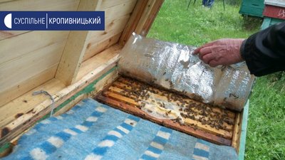 180 тисяч гривень компенсації за загибель бджіл вимагає пасічник з Кіровоградщини у фермера 180 тисяч гривень компенсації за загибель бджіл вимагає пасічник з Кіровоградщини у фермера