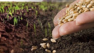 Прикарпатці проводять посівну в умовах карантину