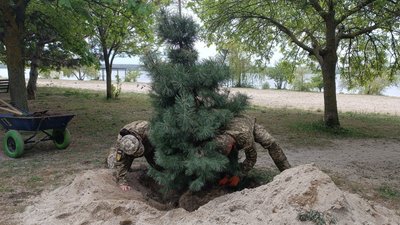 "Дерево – життя громади": в Миколаєві висадили понад 35 дерев
