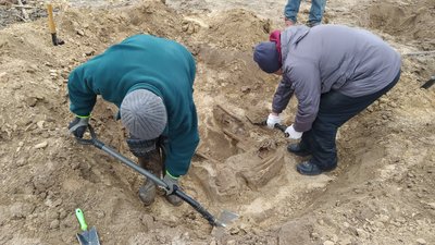 На Житомирщині знайшли останки солдата, який загинув у бою у 1941 році