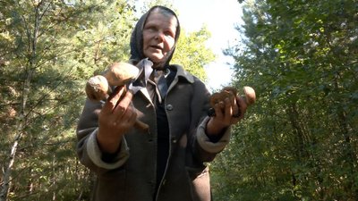 "Грибний сезон" на Волині: поради лікарів, лісівників та збирачів