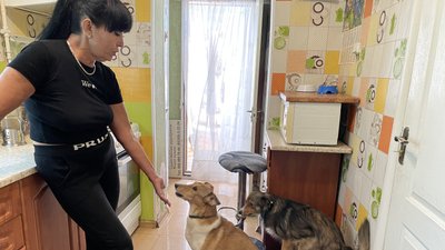 Людмила Кваскова з Миргорода допомагає котам та собакам Людмила Кваскова з Миргорода допомагає котам та собакам