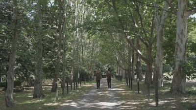 У вінницькому дендропарку, якому понад півстоліття, вирощують близько 170 видів дерев У вінницькому дендропарку, якому понад півстоліття, вирощують близько 170 видів дерев