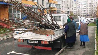 Клени, липи, ясени, платани, горобини та робінії: у Вінниці почали осіннє озеленення міста Клени, липи, ясени, платани, горобини та робінії: у Вінниці почали осіннє озеленення міста