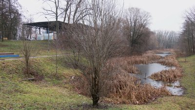 У Чернігові в міському парку культури і відпочинку з'явиться сноупарк