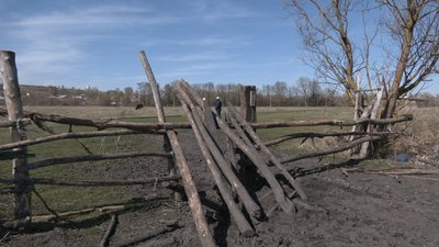 Огорожа, яку зробив Микола Камінський на пасовищі Огорожа, яку зробив Микола Камінський на пасовищі