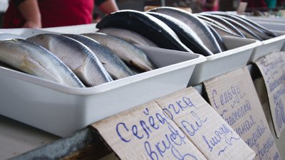 Тюльки, бачу, нема? Як купують рибу на одеському "Привозі" в умовах дефіциту. ФОТОРЕПОРТАЖ Тюльки, бачу, нема? Як купують рибу на одеському "Привозі" в умовах дефіциту. ФОТОРЕПОРТАЖ