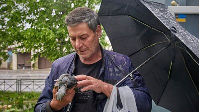 У Харкові врятували 16 голубів, яких контузило після обстрілів російських військових