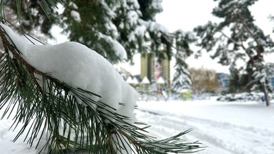 Погода на Закарпатті