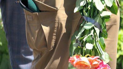 29 липня на Сумщині поховають чотирьох військових