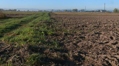 15 тонн картоплі для ЗСУ та переселенців виростили жителі прикарпатського села Радча 15 тонн картоплі для ЗСУ та переселенців виростили жителі прикарпатського села Радча