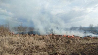 На Прикарпатті за добу загасили п'ять пожеж у природних екосистемах