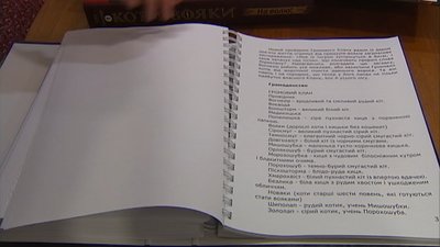 Передрукувала підліткове фентезі для дітей з вадами зору. Олеся Перепеченко. СУСПІЛЬНЕ | ЛЮДИ Передрукувала підліткове фентезі для дітей з вадами зору. Олеся Перепеченко. СУСПІЛЬНЕ | ЛЮДИ