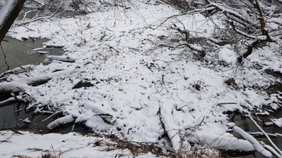 Українці, угорці та румуни прибирали від сміття річку Боржаву на Закарпатті