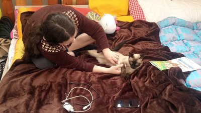240 вимушених переселенців тимчасово проживають в класичній гімназії в Ужгороді