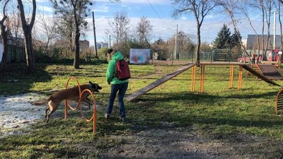 У Львові планують побудувати новий майданчик для вигулу собак