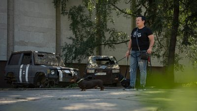 Пес-волонтер збирає кошти на автівки для ЗСУ Пес-волонтер збирає кошти на автівки для ЗСУ