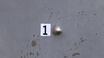 Лиман, поліцейські, вбивство Лиман, поліцейські, вбивство