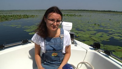 Латаття Одеса Латаття Одеса