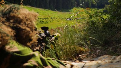 "Снайпер — це не тільки стріляти". Історія нацгвардійця з Вінниччини